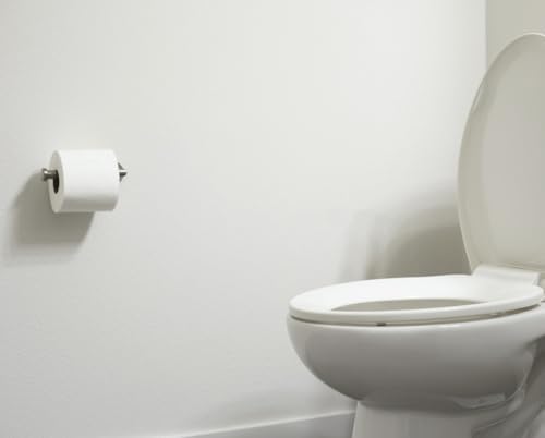 Sturdy Durable Stainless Steel Toilet Paper Holder for Home Use