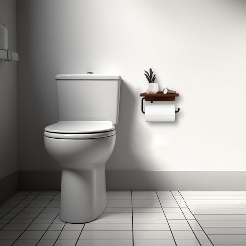 Stylish Wall-Mounted Toilet Paper Holder