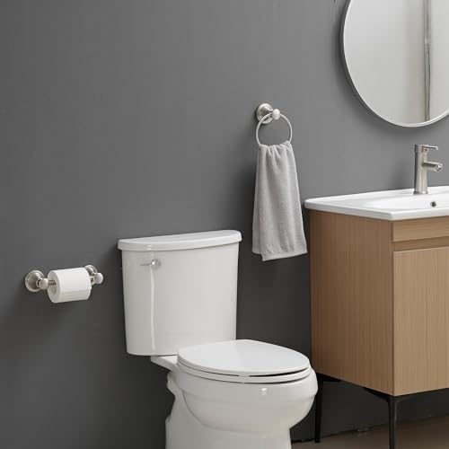 RUMOSE 2-Piece Toilet Paper Towel Holder Set Brushed Nickel Rust-Resistant