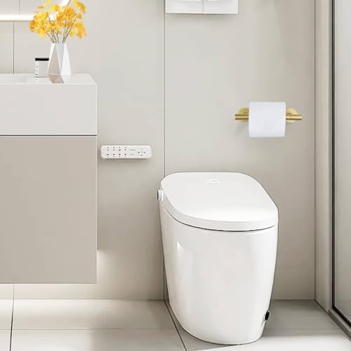 Powder Coated Gold Toilet Paper Holder