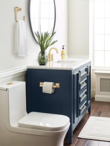 Upgrade Your Bathroom with Amerocks Pivoting Toilet Paper Holder