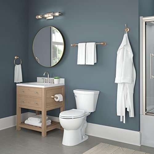 Stylish Durable Delta Cassidy Toilet Paper Holder in Champagne Bronze