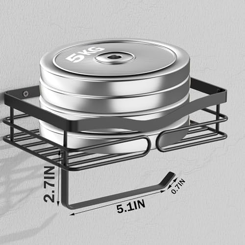 AIDILI Metal Black Toilet Paper Holder