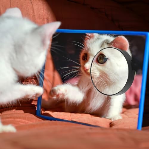 Luxshiny 88cm Magnifying Cosmetic Mirror