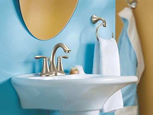 Moen Eva Brushed Nickel Trans single robe hook