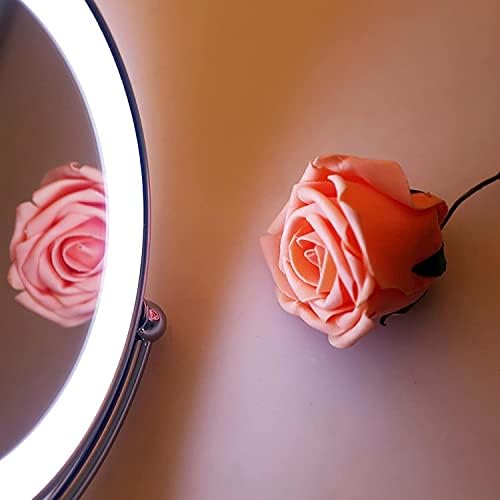 Wall-Mounted Makeup Mirror Nickel Wire LED Vanity Mirror
