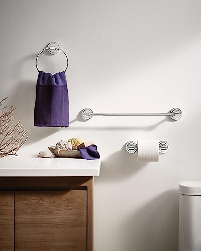 Moen DN0708CH Iso Collection Chrome Pivoting Toilet Paper Holder