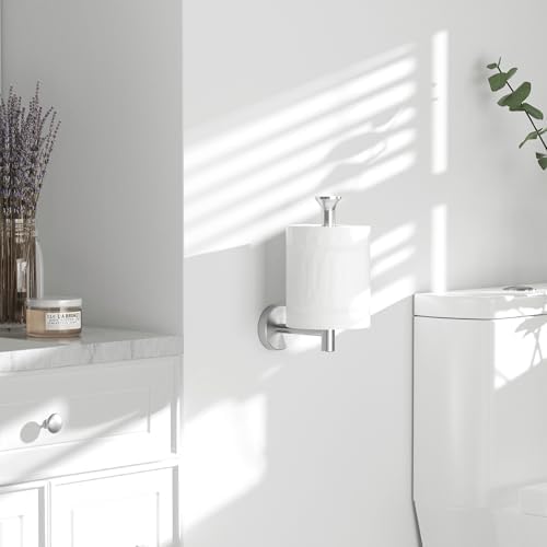 Rustproof 304 SS Toilet Paper Holder
