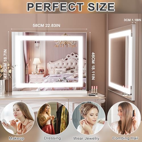 Vanity Mirror with Dimmable LED Lights