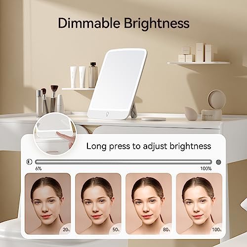 11x8 Portable Makeup Mirror with LED Light