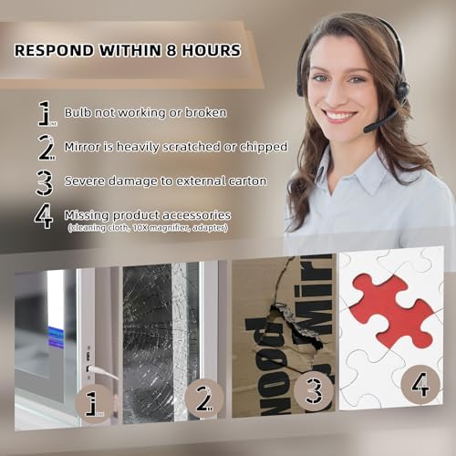 Vanity Mirror with Dimmable LED Lights