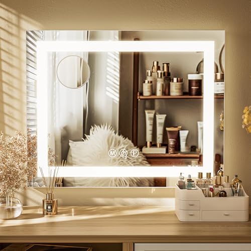 Vanity Mirror with Dimmable LED Lights