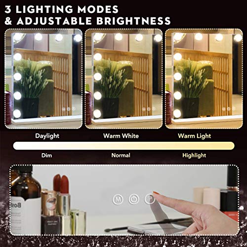 Fenair Vanity Mirror with Lights